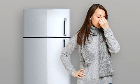 Refrigerator Not Cooling